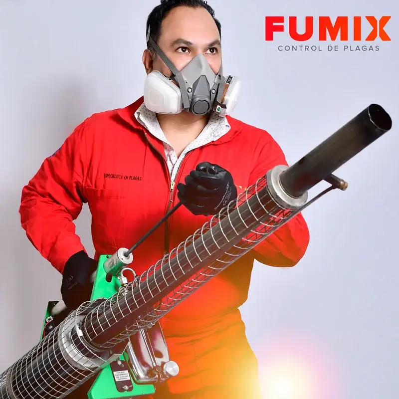 Fumix - Modelo